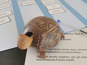 Schildkröte klein, Diagnostik